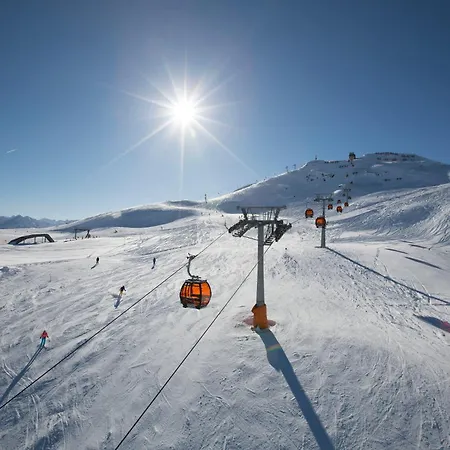 Bacher Nr.4 * Wald im Pinzgau